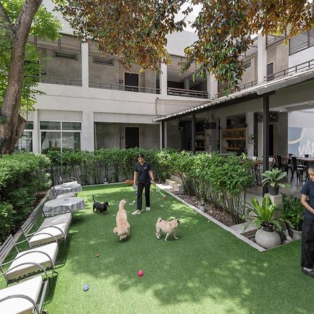 Ketawa Pet Friendly Hotel Чиангмай Екстериор снимка