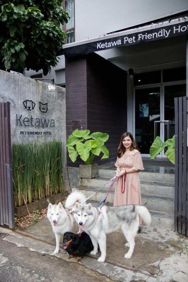 Ketawa Pet Friendly Hotel Чиангмай Екстериор снимка