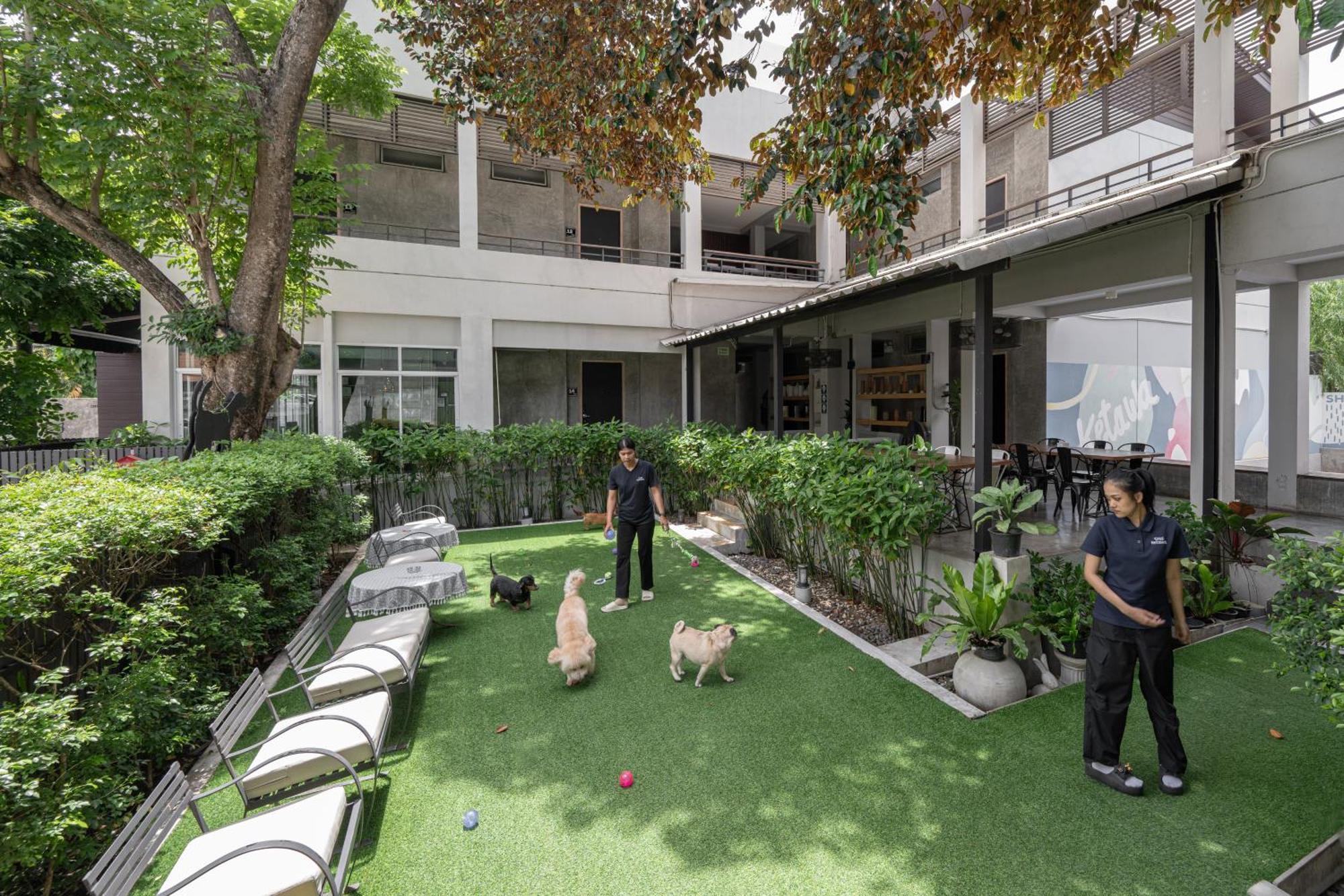 Ketawa Pet Friendly Hotel Чиангмай Екстериор снимка