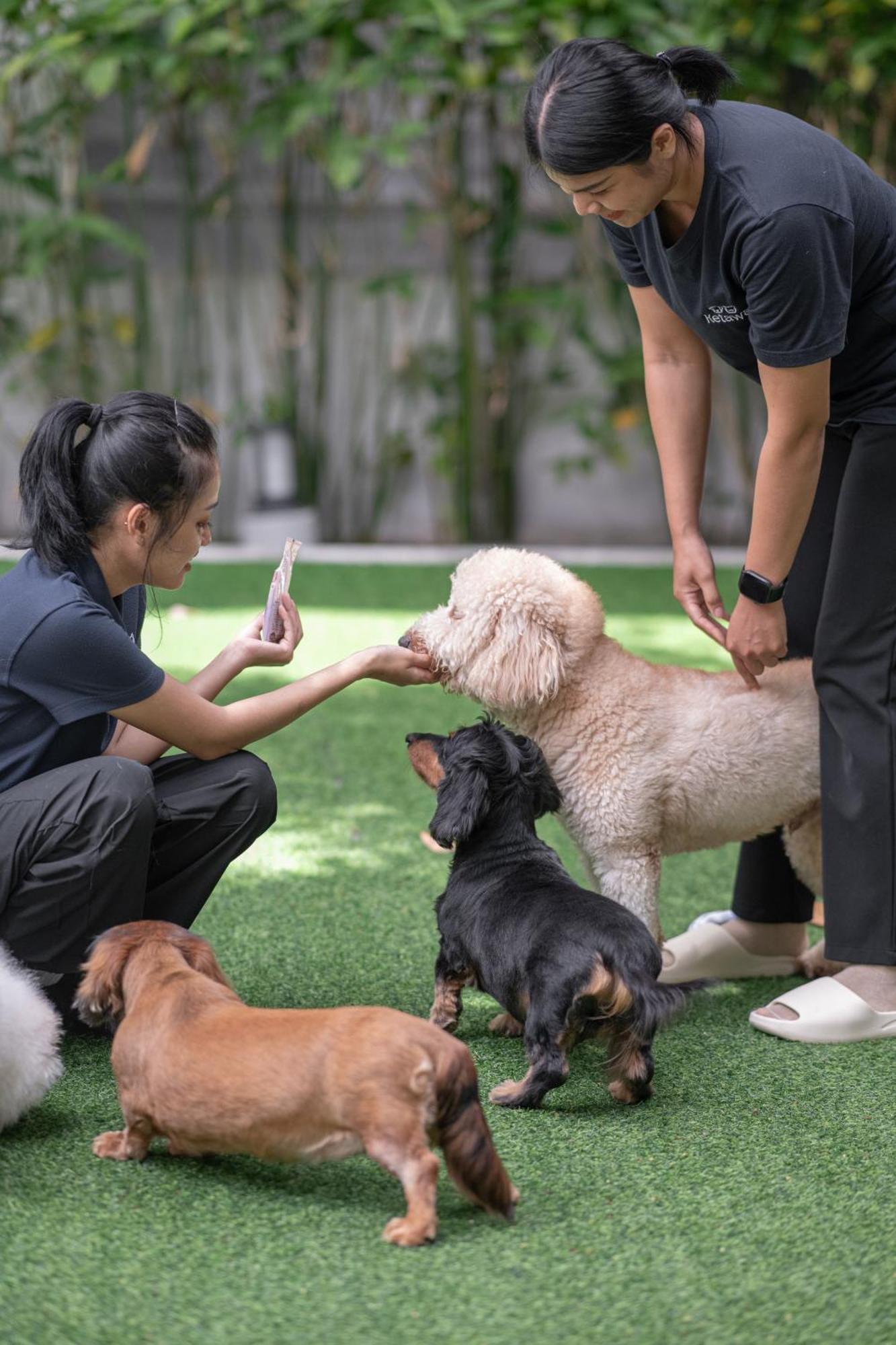 Ketawa Pet Friendly Hotel Чиангмай Екстериор снимка