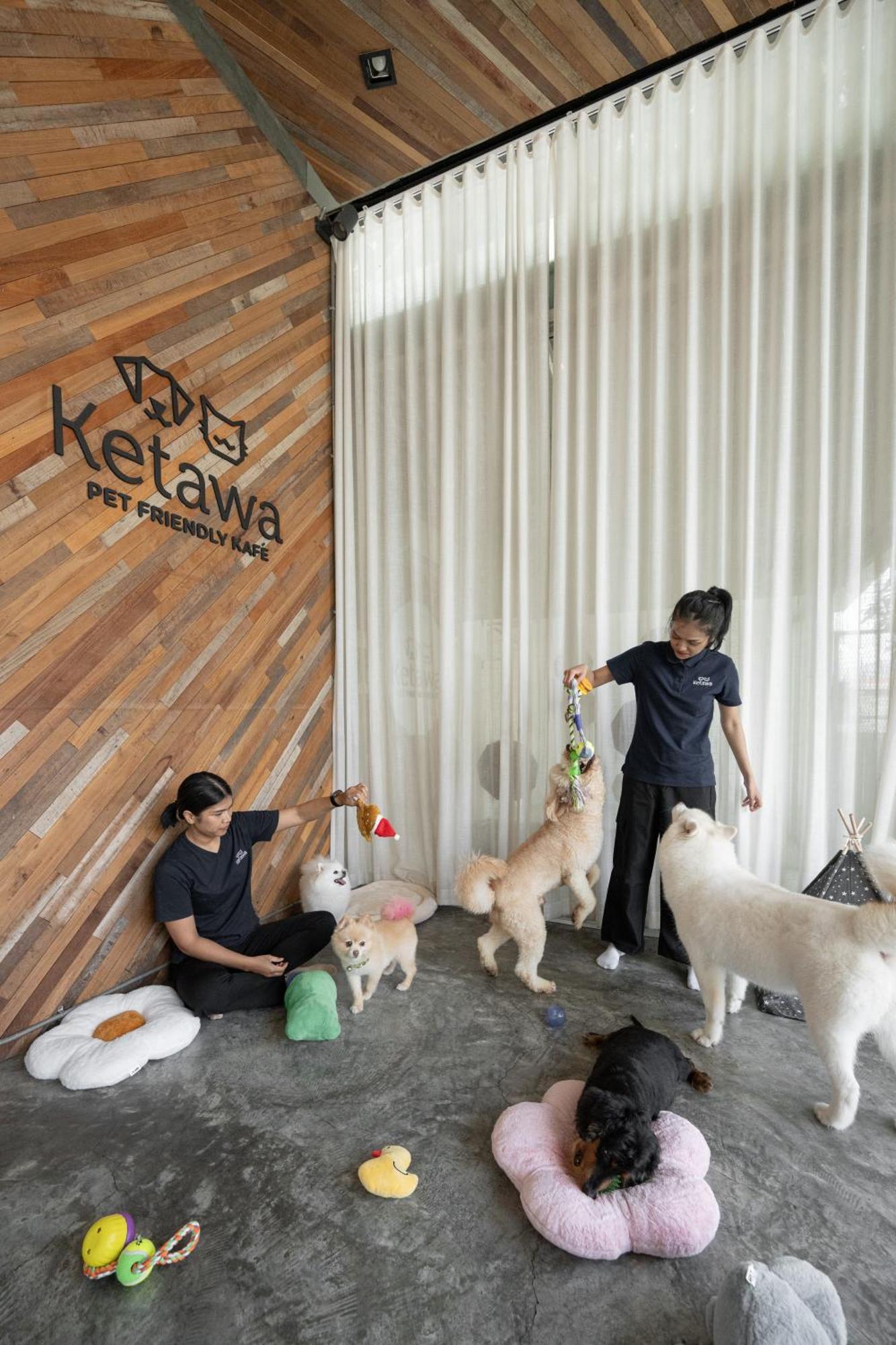 Ketawa Pet Friendly Hotel Чиангмай Екстериор снимка