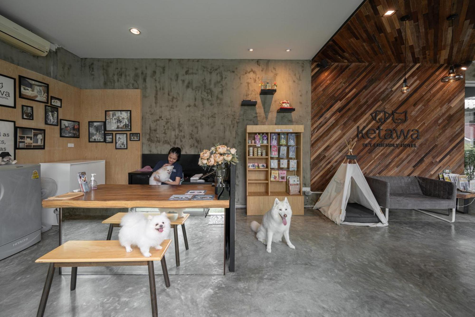 Ketawa Pet Friendly Hotel Чиангмай Екстериор снимка