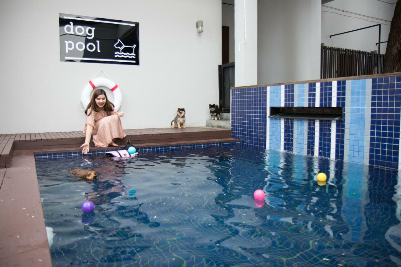Ketawa Pet Friendly Hotel Чиангмай Екстериор снимка